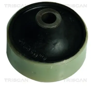 Подвеска, рычаг независимой подвески колеса TRISCAN 850024845