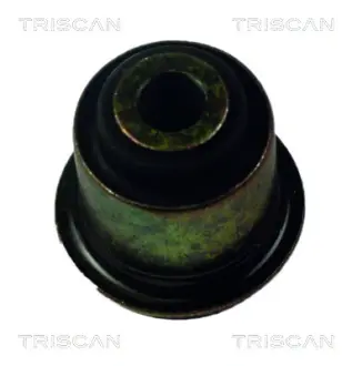 Подвеска, рычаг независимой подвески колеса TRISCAN 850025800
