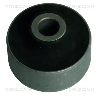 Подвеска, рычаг независимой подвески колеса TRISCAN 850069803