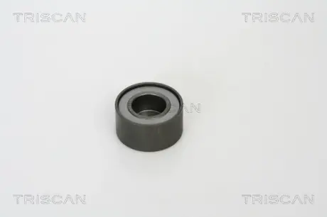 Паразитный / ведущий ролик, поликлиновой ремень TRISCAN 8641102022