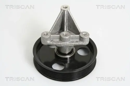 Паразитный / ведущий ролик, поликлиновой ремень TRISCAN 8641102031 (фото 1)