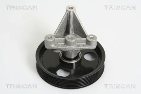 Паразитный / ведущий ролик, поликлиновой ремень TRISCAN 8641102031