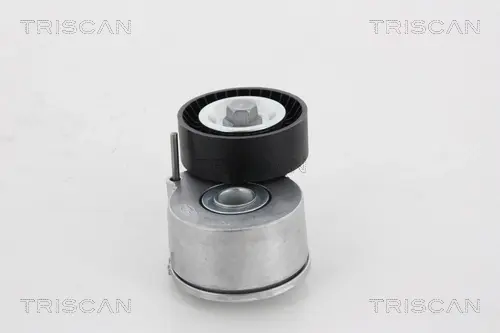 Натяжной ролик, поликлиновой ремень TRISCAN 8641103003 (фото 1)