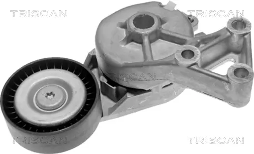 Натяжная планка, поликлиновой ремень TRISCAN 8641103006 (фото 1)