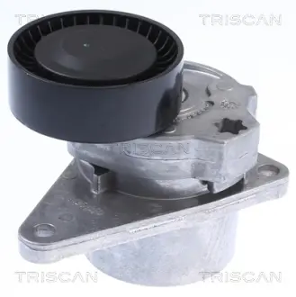 Натяжная планка, поликлиновой ремень TRISCAN 8641103010
