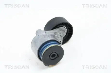 Натяжная планка, поликлиновой ремень TRISCAN 8641103013
