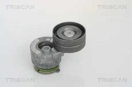Натяжная планка, поликлиновой ремень TRISCAN 8641103018