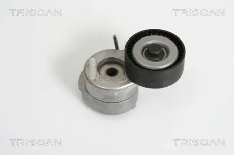 Натяжная планка, поликлиновой ремень TRISCAN 8641103019