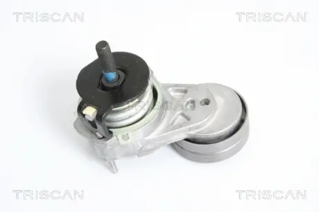 Натяжная планка, поликлиновой ремень TRISCAN 8641103020