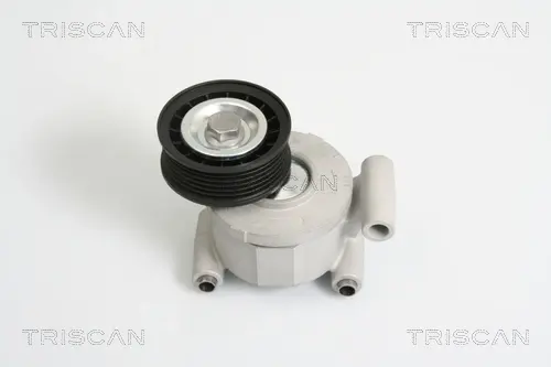 Натяжная планка, поликлиновой ремень TRISCAN 8641103022 (фото 1)