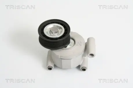 Натяжная планка, поликлиновой ремень TRISCAN 8641103022