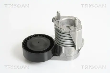 Натяжитель ремня, клиновой зубча TRISCAN 8641103025