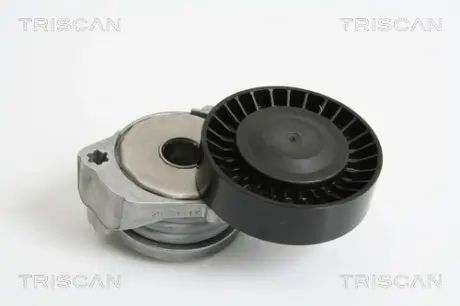 Натяжной ролик, поликлиновой ремень TRISCAN 8641103026