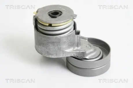 Натяжная планка, поликлиновой ремень TRISCAN 8641103027