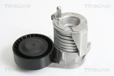 Натяжитель ремня, клиновой зубча TRISCAN 8641103029