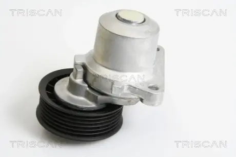 Натяжная планка, поликлиновой ремень TRISCAN 8641103033