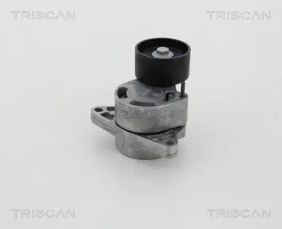 Натяжная планка, поликлиновой ремень TRISCAN 8641103039
