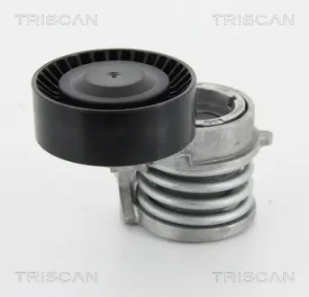 Натяжная планка, поликлиновой ремень TRISCAN 8641113016