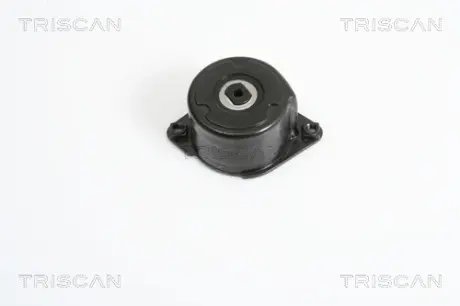 Натяжитель ремня, клиновой зубча TRISCAN 8641113022