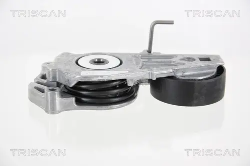 Натяжитель ремня, клиновой зубча TRISCAN 8641113030 (фото 1)