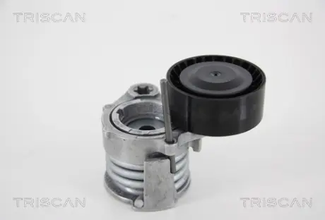 Натяжная планка, поликлиновой ремень TRISCAN 8641113037
