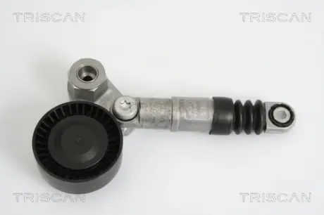 Натяжная планка, поликлиновой ремень TRISCAN 8641123002