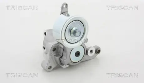 Натяжная планка, поликлиновой ремень TRISCAN 8641133006