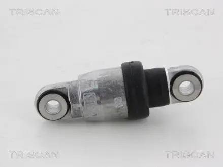 Амортизатор, поликлиновой ремень TRISCAN 8641133008