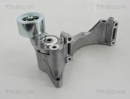 Натяжной ролик, поликлиновой ремень TRISCAN 8641133012