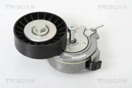 Натяжная планка, поликлиновой ремень TRISCAN 8641153005