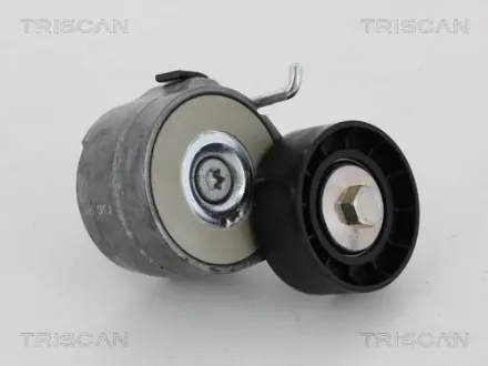 Натяжная планка, поликлиновой ремень TRISCAN 8641153007