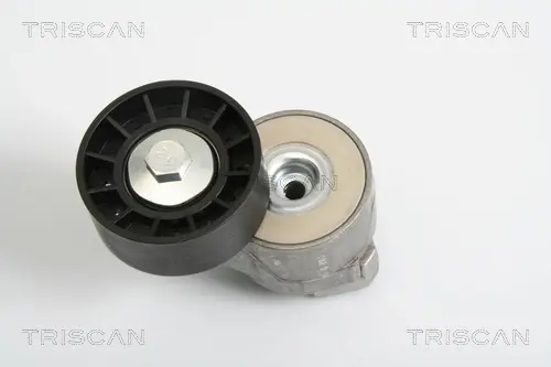Натяжная планка, поликлиновой ремень TRISCAN 8641153008 (фото 1)