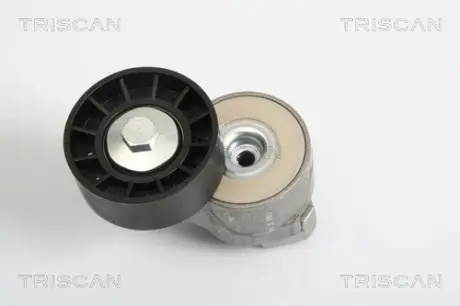 Натяжная планка, поликлиновой ремень TRISCAN 8641153008