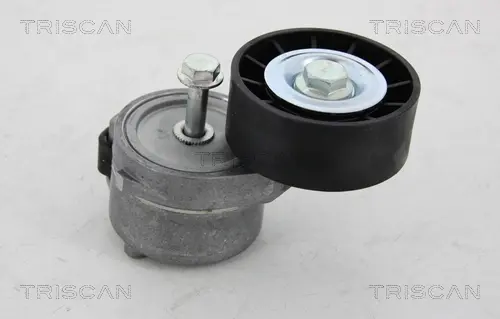 Натяжная планка, поликлиновой ремень TRISCAN 8641153010 (фото 1)