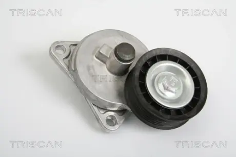 Натяжная планка, поликлиновой ремень TRISCAN 8641163005