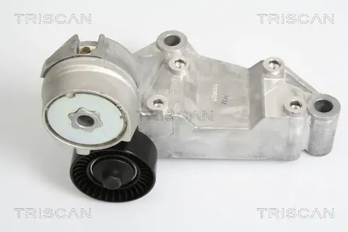 Натяжная планка, поликлиновой ремень TRISCAN 8641163009 (фото 1)