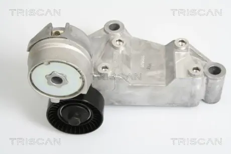 Натяжная планка, поликлиновой ремень TRISCAN 8641163009