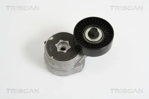 натяжная планка, поликлиновой ремень TRISCAN 8641163011 - фото 1