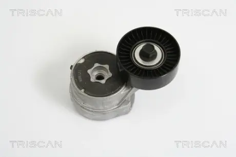 натяжная планка, поликлиновой ремень TRISCAN 8641163011