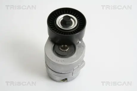 Натяжная планка, поликлиновой ремень TRISCAN 8641163015