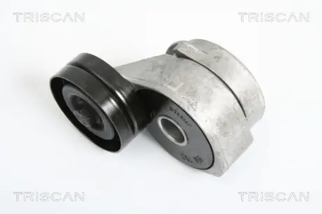 Натяжная планка, поликлиновой ремень TRISCAN 8641173001