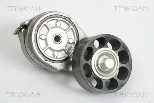Натяжная планка, поликлиновой ремень TRISCAN 8641173002 (фото 1)