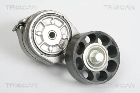 Натяжная планка, поликлиновой ремень TRISCAN 8641173002