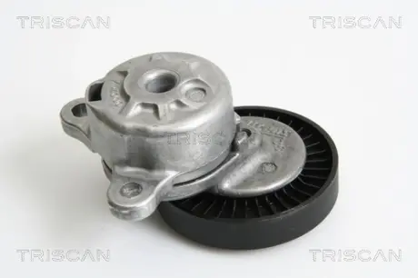 Натяжная планка, поликлиновой ремень TRISCAN 8641173003