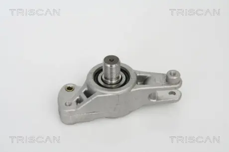 Натяжная планка, поликлиновой ремень TRISCAN 8641231009