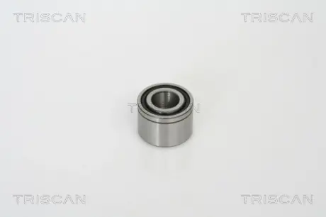 Подшипник, рычаг натяжного ролика TRISCAN 8641231010