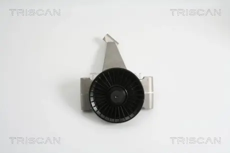 Паразитный / ведущий ролик, поликлиновой ремень TRISCAN 8641232002