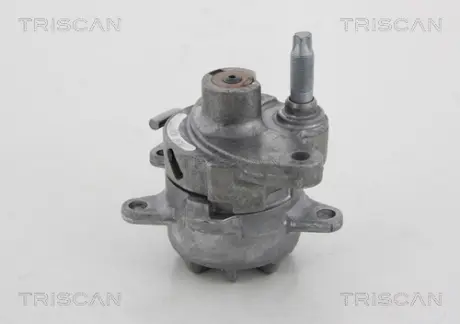 Натяжной ролик, поликлиновой ремень TRISCAN 8641232018