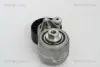 Натяжная планка, поликлиновой ремень TRISCAN 8641233009 (фото 1)