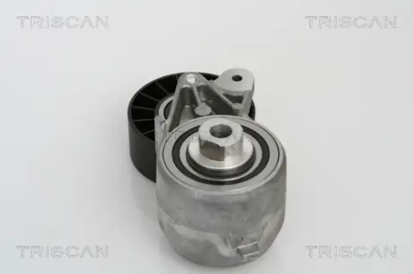 Натяжная планка, поликлиновой ремень TRISCAN 8641233009
